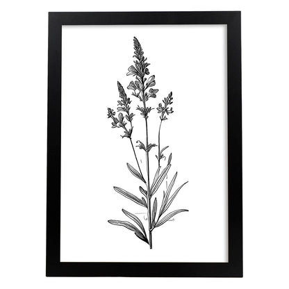 Láminas Minimalistas de Lavanda Nacnic
