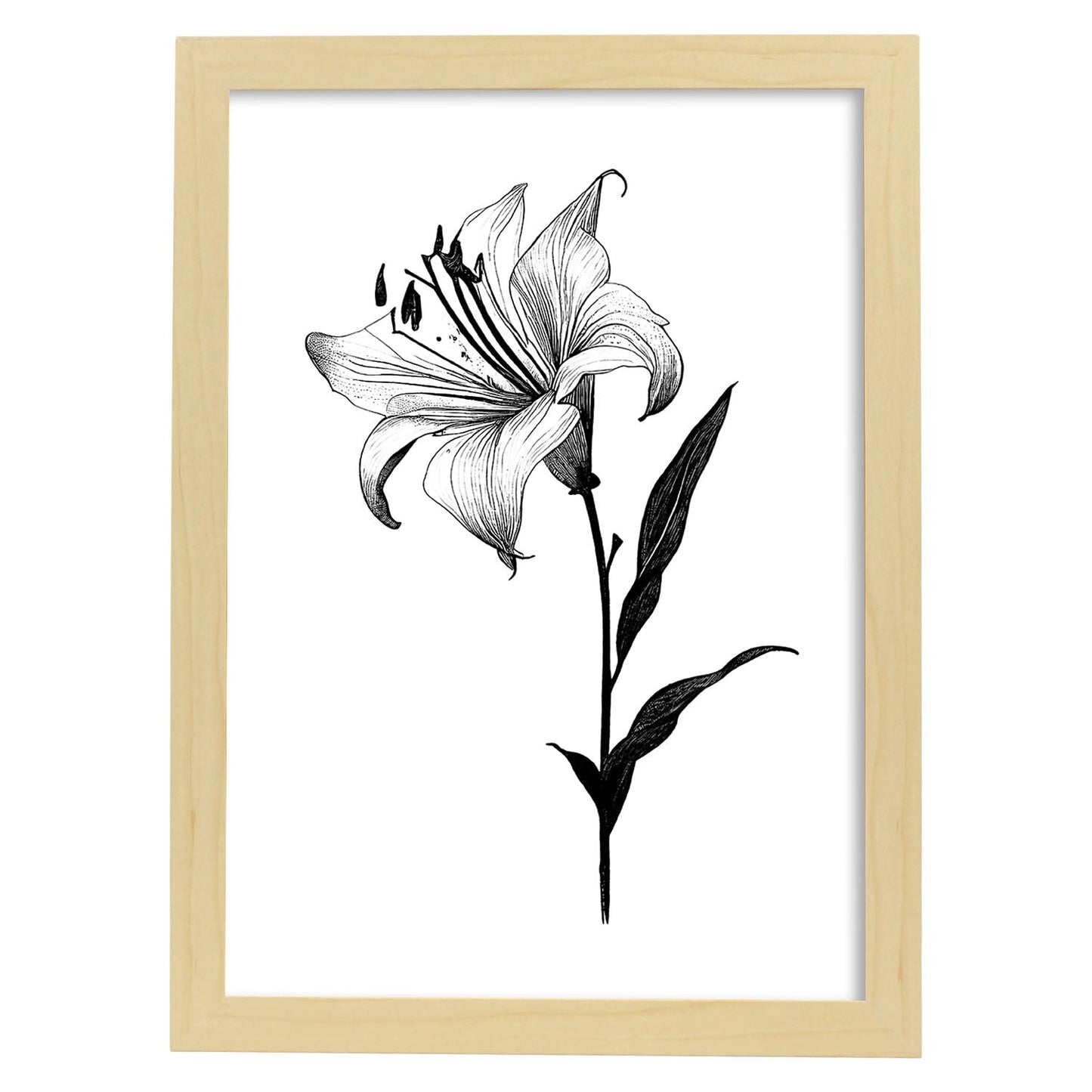 Nacnic Lily Minimalist Line Art_1. Aesthetic Wall Art Prints for Bedroom or Living Room Design.