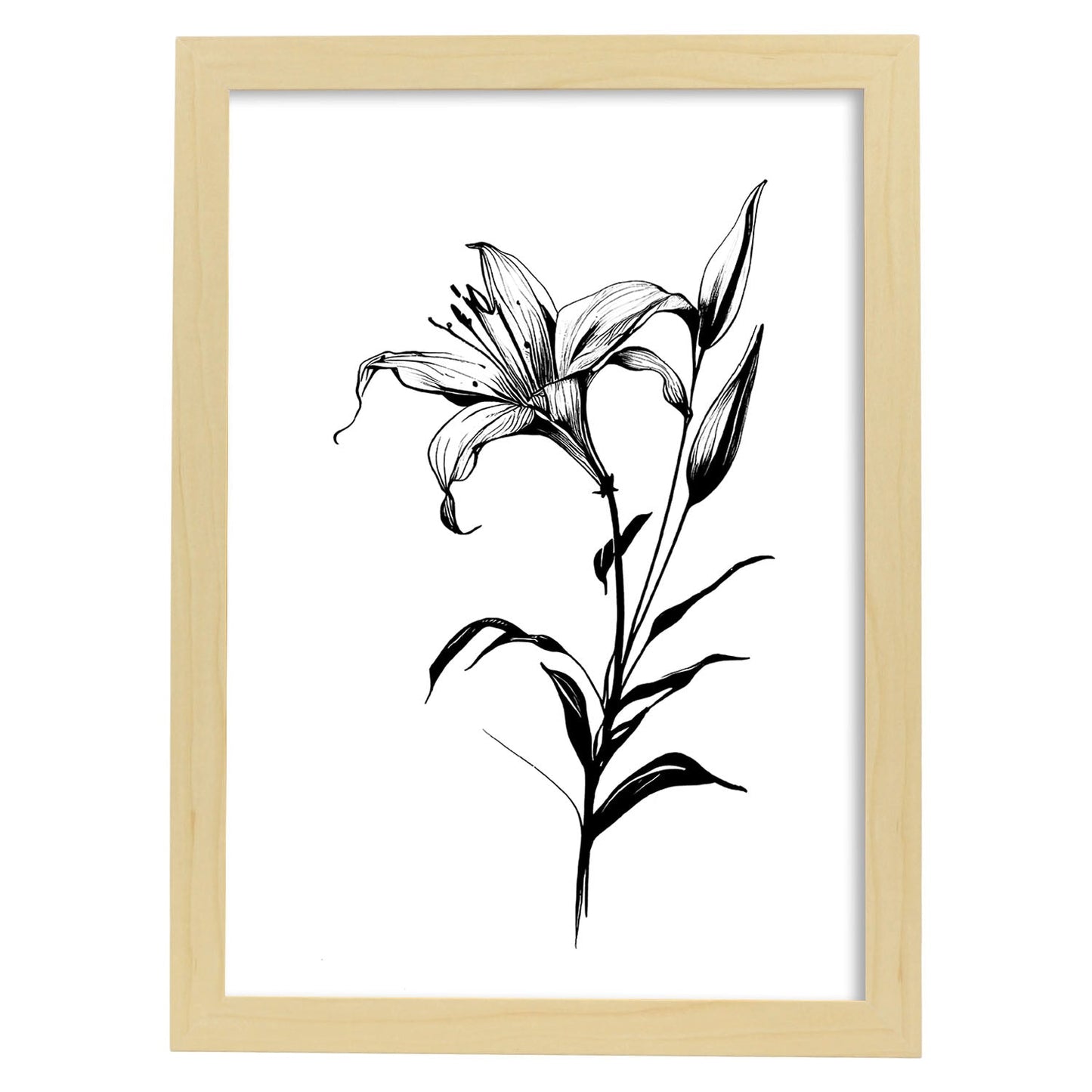 Nacnic Lily Minimalist Line Art_2. Aesthetic Wall Art Prints for Bedroom or Living Room Design.
