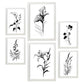 Láminas Nacnic Line Flowers Set_1