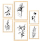 Láminas Nacnic Line Flowers Set_1