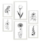 Nacnic Láminas de Flores Estéticas Lineales Set_2