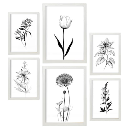 Nacnic Láminas de Flores Estéticas Lineales Set_2