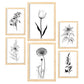 Nacnic Láminas de Flores Estéticas Lineales Set_2