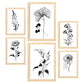Láminas de Flores Estéticas Nacnic Set_4