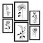 Láminas de Flores Estéticas Nacnic Set_4
