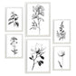 Laminas Nacnic de Flores Lineales Set_5