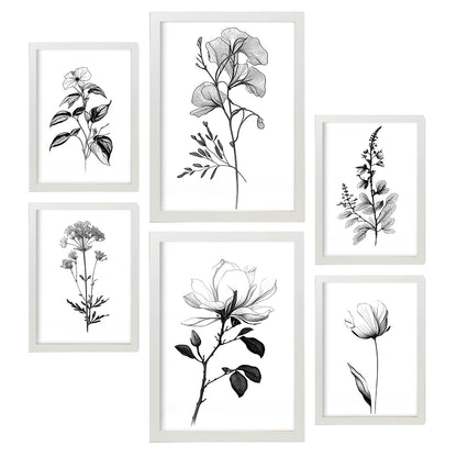 Laminas Nacnic de Flores Lineales Set_5