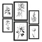 Laminas Nacnic de Flores Lineales Set_5