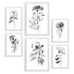 Nacnic Conjunto de Láminas Line Flowers_6 para Diseño de Habitación