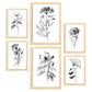 Nacnic Conjunto de Láminas Line Flowers_6 para Diseño de Habitación
