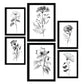 Nacnic Conjunto de Láminas Line Flowers_6 para Diseño de Habitación