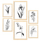Nacnic Conjunto de Laminas Flores Lineales_7