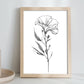 Lámina Minimalista de Lisianthus Nacnic