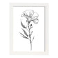 Lámina Minimalista de Lisianthus Nacnic