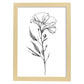Lámina Minimalista de Lisianthus Nacnic