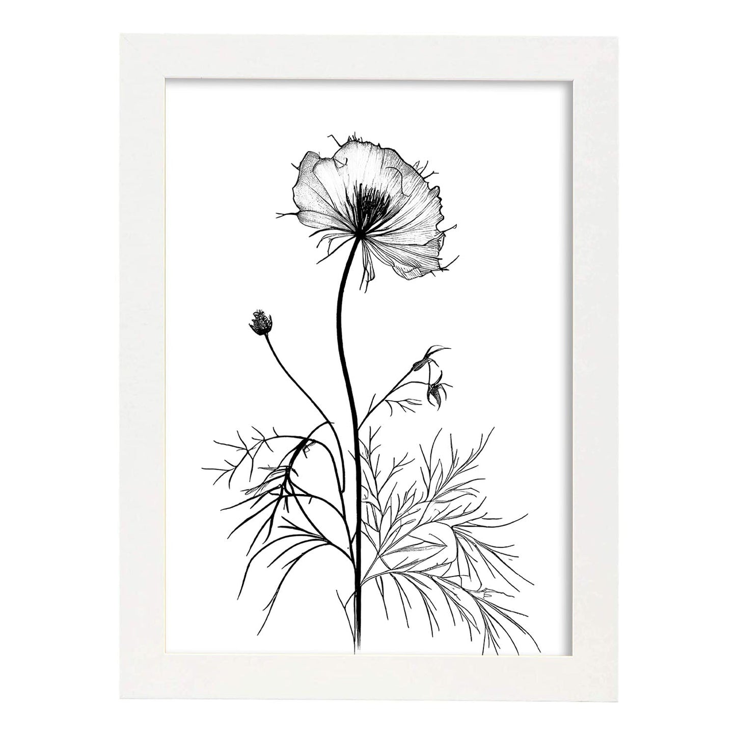 Nacnic Love-in-a-Mist Minimalist Line Art_1. Aesthetic Wall Art Prints for Bedroom or Living Room Design.