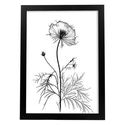 Lámina Minimalista Nacnic Love-in-a-Mist