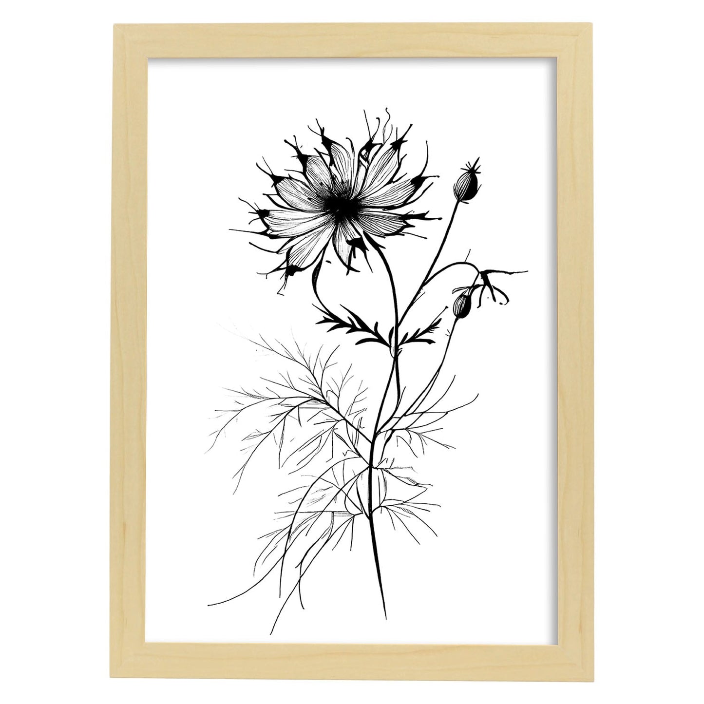 Nacnic Love-in-a-Mist Minimalist Line Art_2. Aesthetic Wall Art Prints for Bedroom or Living Room Design.