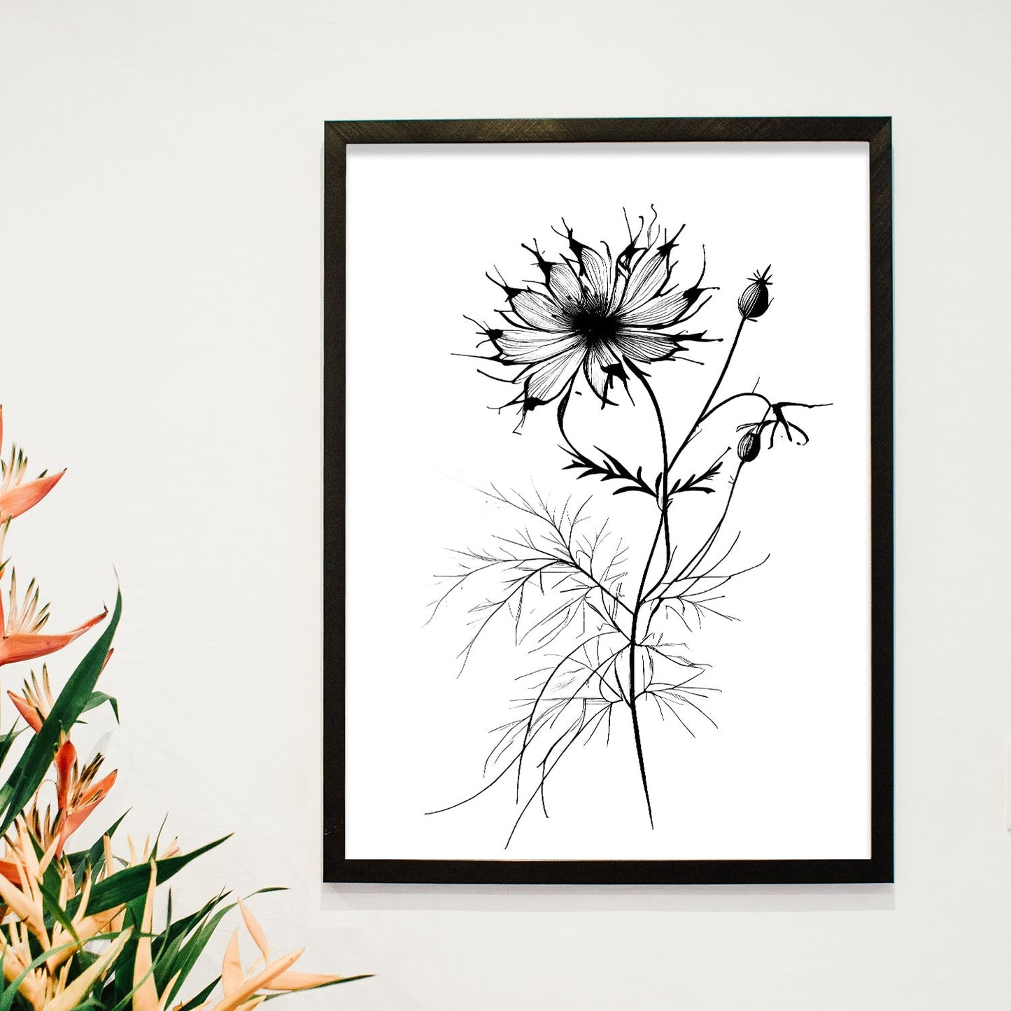 Nacnic Love-in-a-Mist Minimalist Line Art_2. Aesthetic Wall Art Prints for Bedroom or Living Room Design.