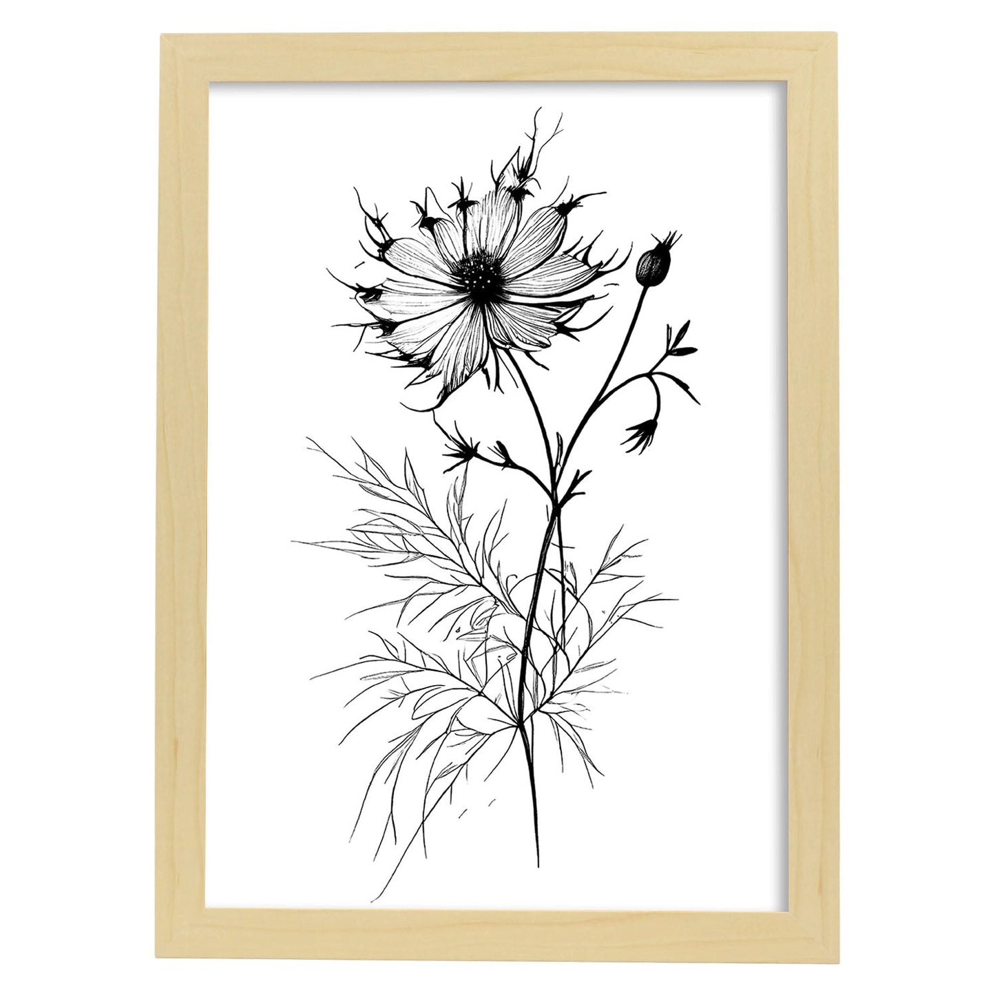 Nacnic Love-in-a-Mist Minimalist Line Art_3. Aesthetic Wall Art Prints for Bedroom or Living Room Design.
