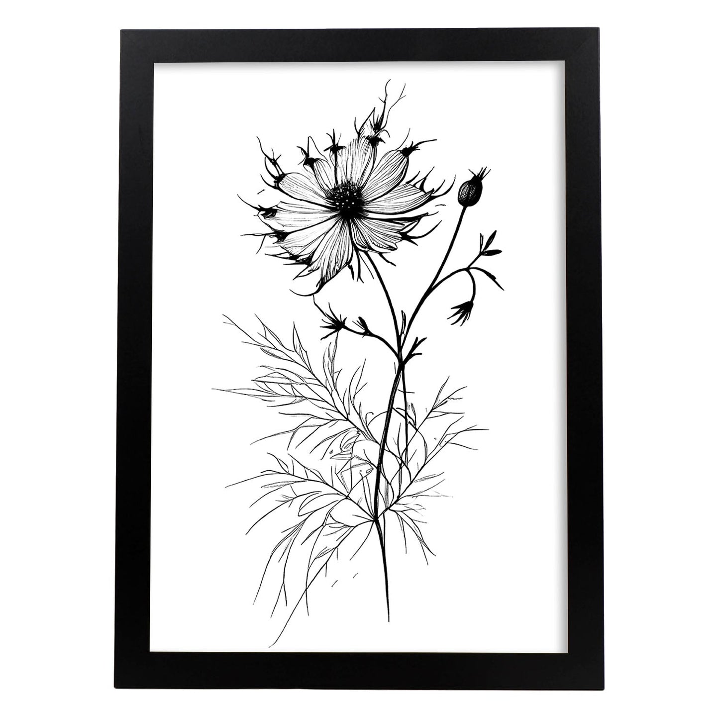 Nacnic Love-in-a-Mist Minimalist Line Art_3. Aesthetic Wall Art Prints for Bedroom or Living Room Design.