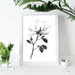 Láminas Nacnic Magnolia Arte Minimalista Lineal