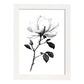 Láminas Nacnic Magnolia Arte Minimalista Lineal