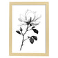 Láminas Nacnic Magnolia Arte Minimalista Lineal