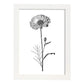 Laminas Nacnic Marigold Arte Minimalista Lineal