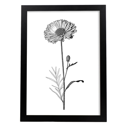 Laminas Nacnic Marigold Arte Minimalista Lineal