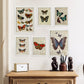Láminas Nacnic Mariposas para Dormitorio