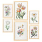 Conjunto Nacnic Mix Pastel, Láminas Estéticas para Pared