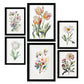 Conjunto Nacnic Mix Pastel, Láminas Estéticas para Pared