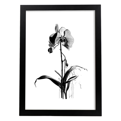 Laminas Minimalistas de Orquídeas Nacnic