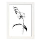 Lamina Minimalista de Orquídea Nacnic