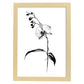 Lamina Minimalista de Orquídea Nacnic