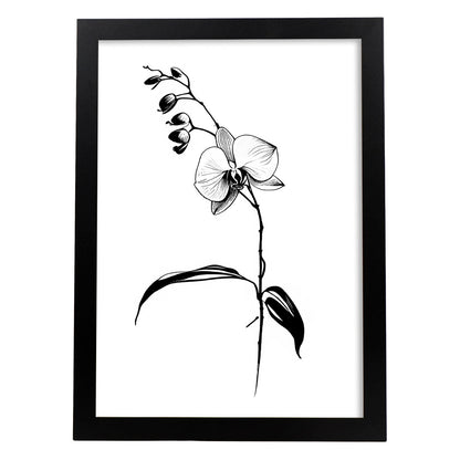 Lamina Minimalista de Orquídea Nacnic