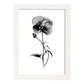 Nacnic Láminas Minimalistas de Arte Lineal Pansy