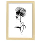 Nacnic Láminas Minimalistas de Arte Lineal Pansy
