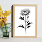 Lámina Nacnic de Peonia en Arte Minimalista