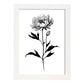 Lámina Nacnic de Peonia en Arte Minimalista