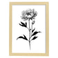 Lámina Nacnic de Peonia en Arte Minimalista