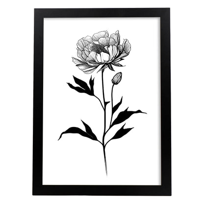 Lámina Nacnic de Peonia en Arte Minimalista