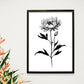 Lámina Nacnic de Peonia en Arte Minimalista