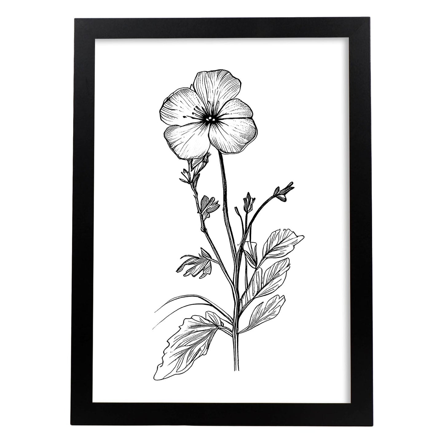 Nacnic Primrose Minimalist Line Art_1. Aesthetic Wall Art Prints for Bedroom or Living Room Design.