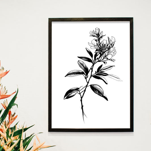 Láminas Minimalistas de Arte Lineal Rhododendro Nacnic