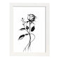 Lámina Nacnic de Rosa en Arte Minimalista