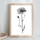 Lámina Nacnic Scabiosa Arte Minimalista Línea_1