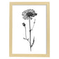 Lámina Nacnic Scabiosa Arte Minimalista Línea_1